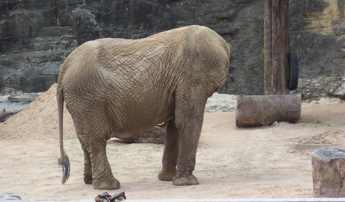 Photoshop Design by rayhyde for DesignCrowd (Community Contests) | Design #8943139