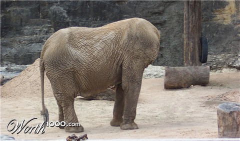 Photoshop Design by rayhyde