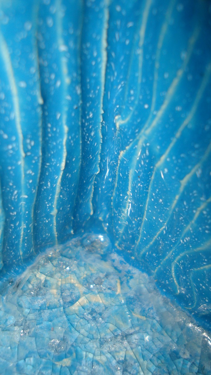 Photographie par Kadddah pour DesignCrowd (Community Contests) | Design #8937784