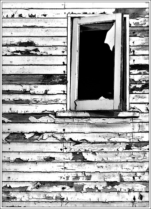 Photographie par mated1976 pour DesignCrowd (Community Contests) | Design #8940053