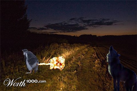 Photoshop Design by SnapClick