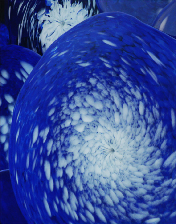 Photography by cakeladybarb for DesignCrowd (Community Contests) | Design #8937694