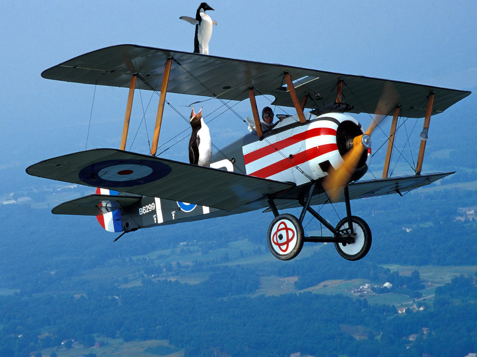 Photoshop Design by puzopia for DesignCrowd (Community Contests) | Design #8938300