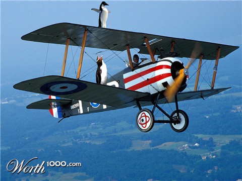 Photoshop Design by puzopia