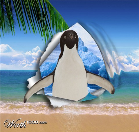 Photoshop Design by rmcelroy