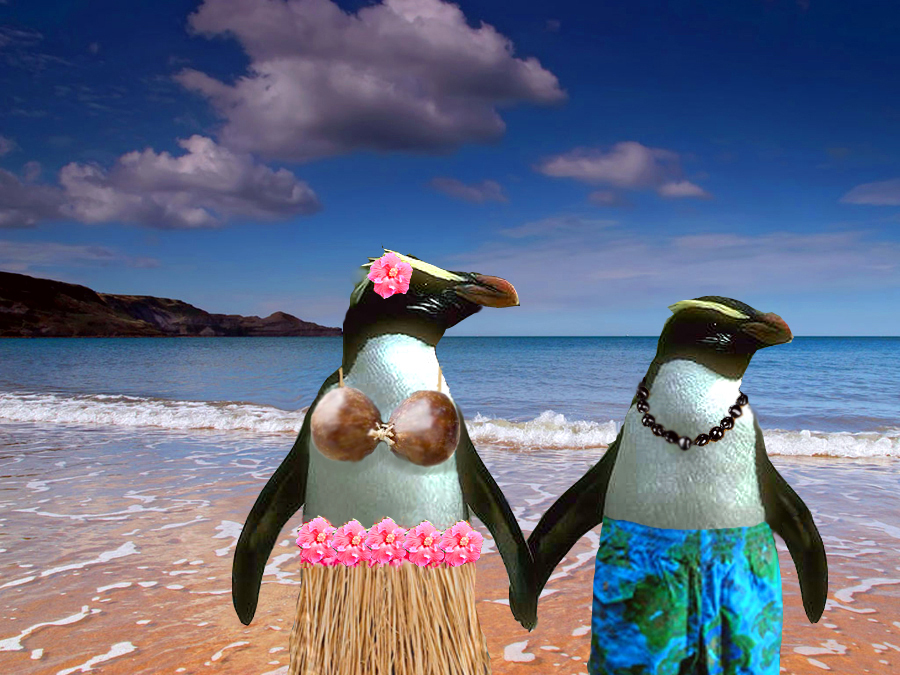 Photoshop Design by Takes2Hands2 for DesignCrowd (Community Contests) | Design #8938388