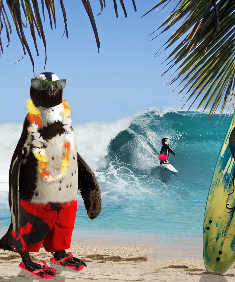 Photoshop Design by Larssonpsd for DesignCrowd (Community Contests) | Design #8938331