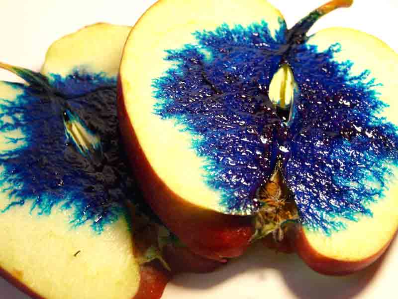 Fotografía por Succexxyy para DesignCrowd (Community Contests) | Diseño #8937705