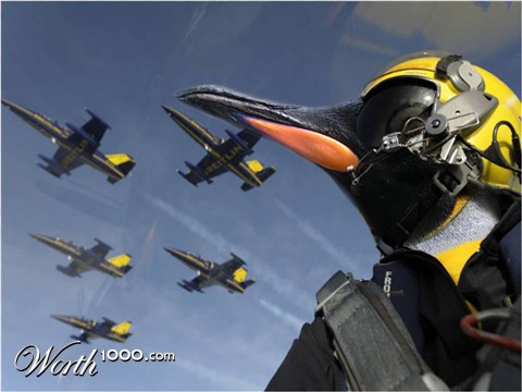 Photoshop Design by DolmaCat