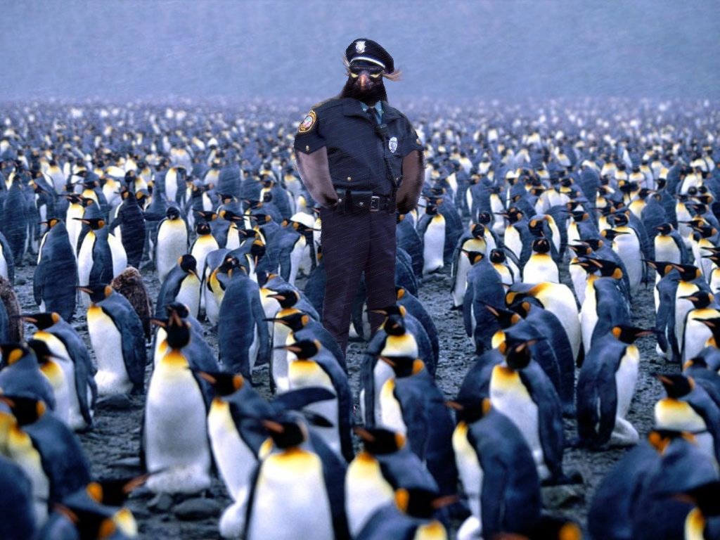 Photoshop Design by jake420 for DesignCrowd (Community Contests) | Design #8938357