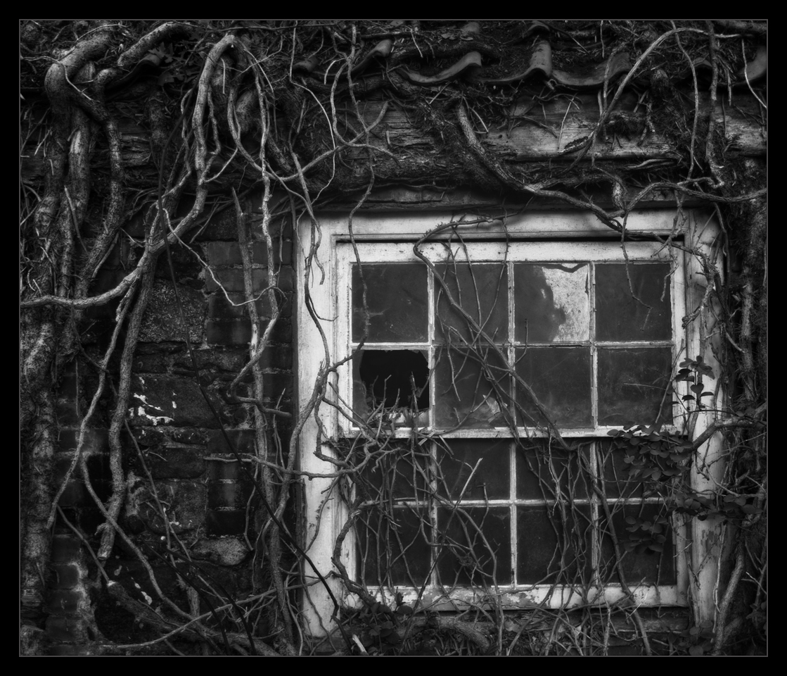 Photography by paulf1970 for DesignCrowd (Community Contests) | Design #8940119