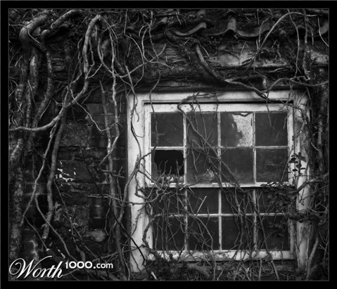 Photography by paulf1970