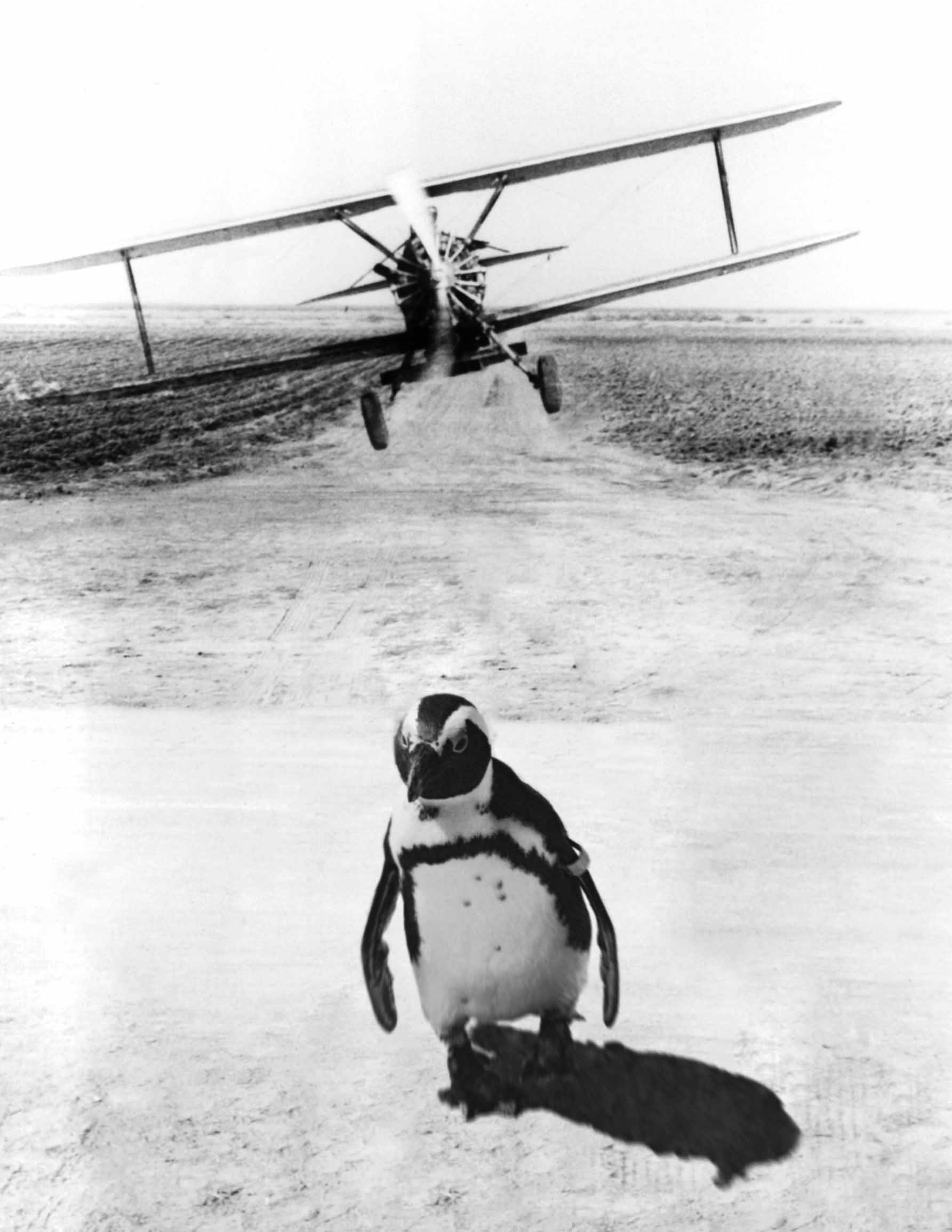 Diseño de Photoshop por ClemClareton para DesignCrowd (Community Contests) | Diseño #8938477