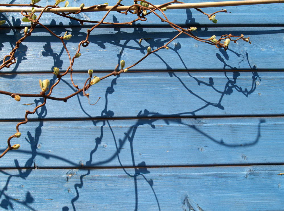 Photography by redcats for DesignCrowd (Community Contests) | Design #8937759