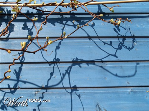 Photography by redcats