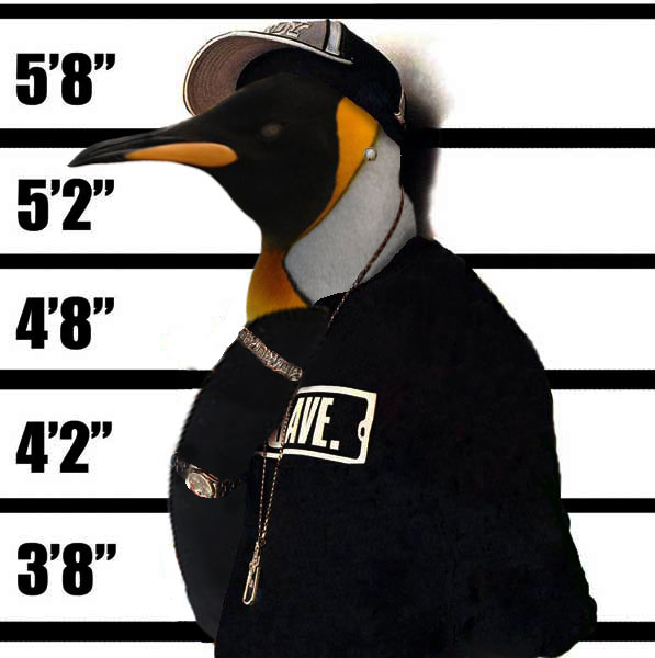 Photoshop-Design von pochiex2 für DesignCrowd (Community Contests) | Design #8938465