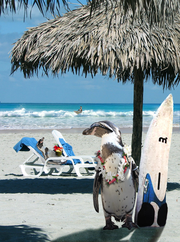 Photoshop Design by pantheo for DesignCrowd (Community Contests) | Design #8938473