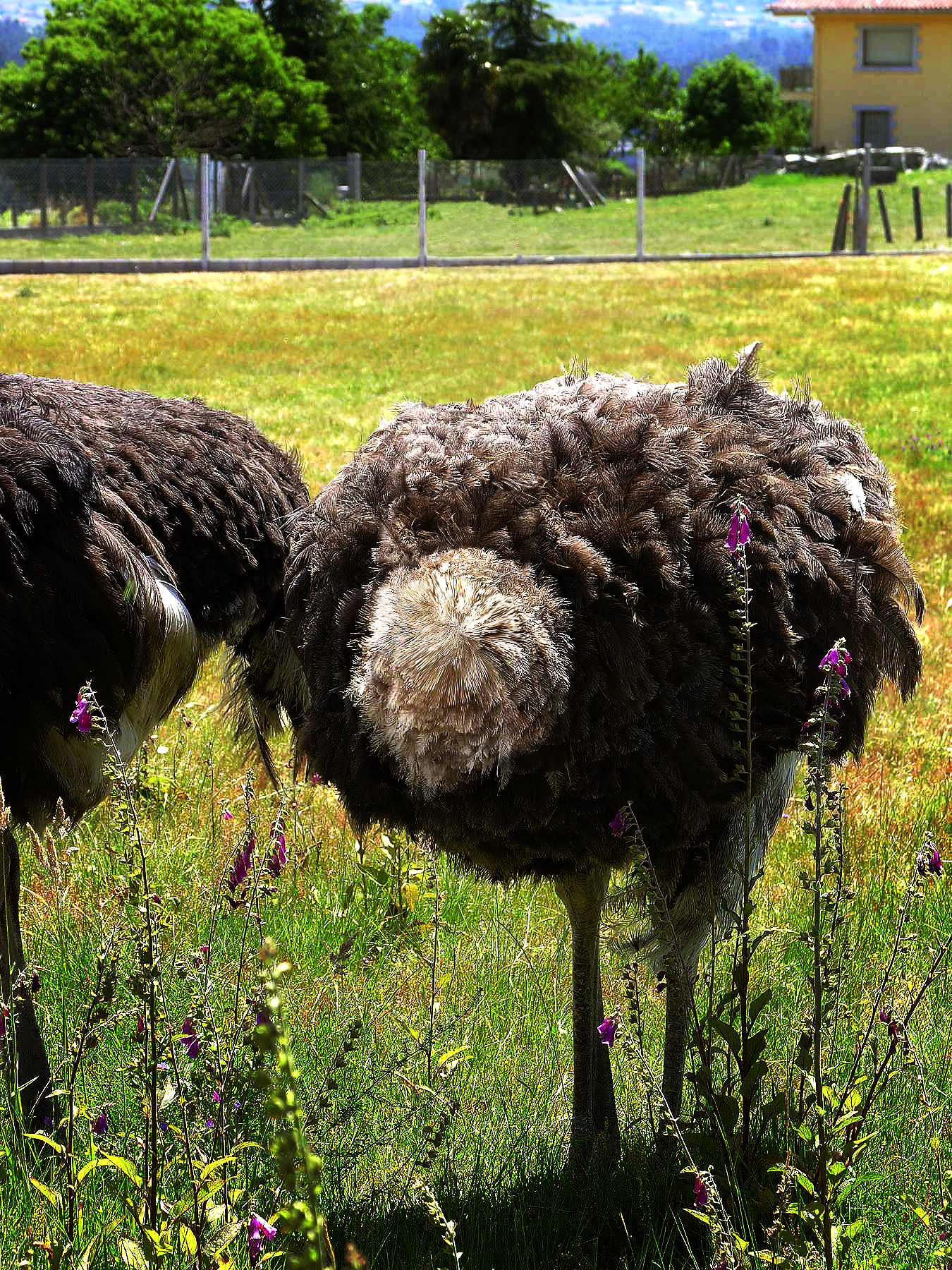 Photoshop Design by darruda for DesignCrowd (Community Contests) | Design #8943308