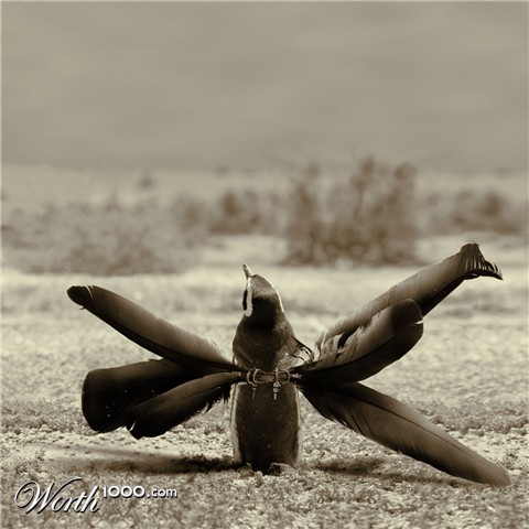 Photoshop Design by brujka