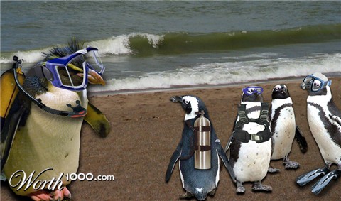 Photoshop Design by janefrog