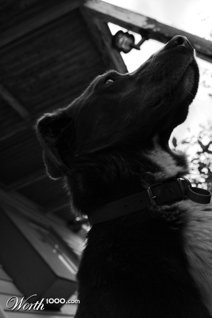 Photography by practice