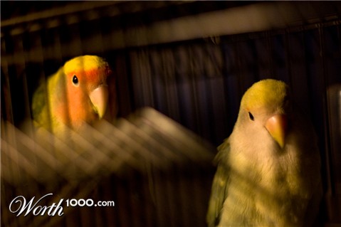 Photography by Broo2