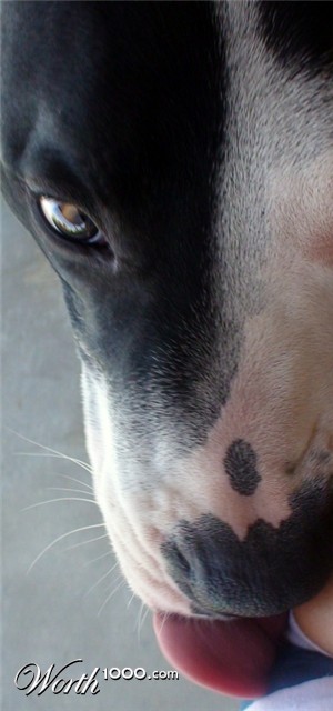 Photography by JanineMarie