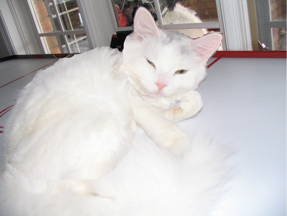 Diseño de Photoshop por braybay para DesignCrowd (Community Contests) | Diseño #8938178