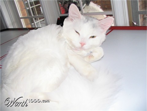 Photoshop Design by braybay