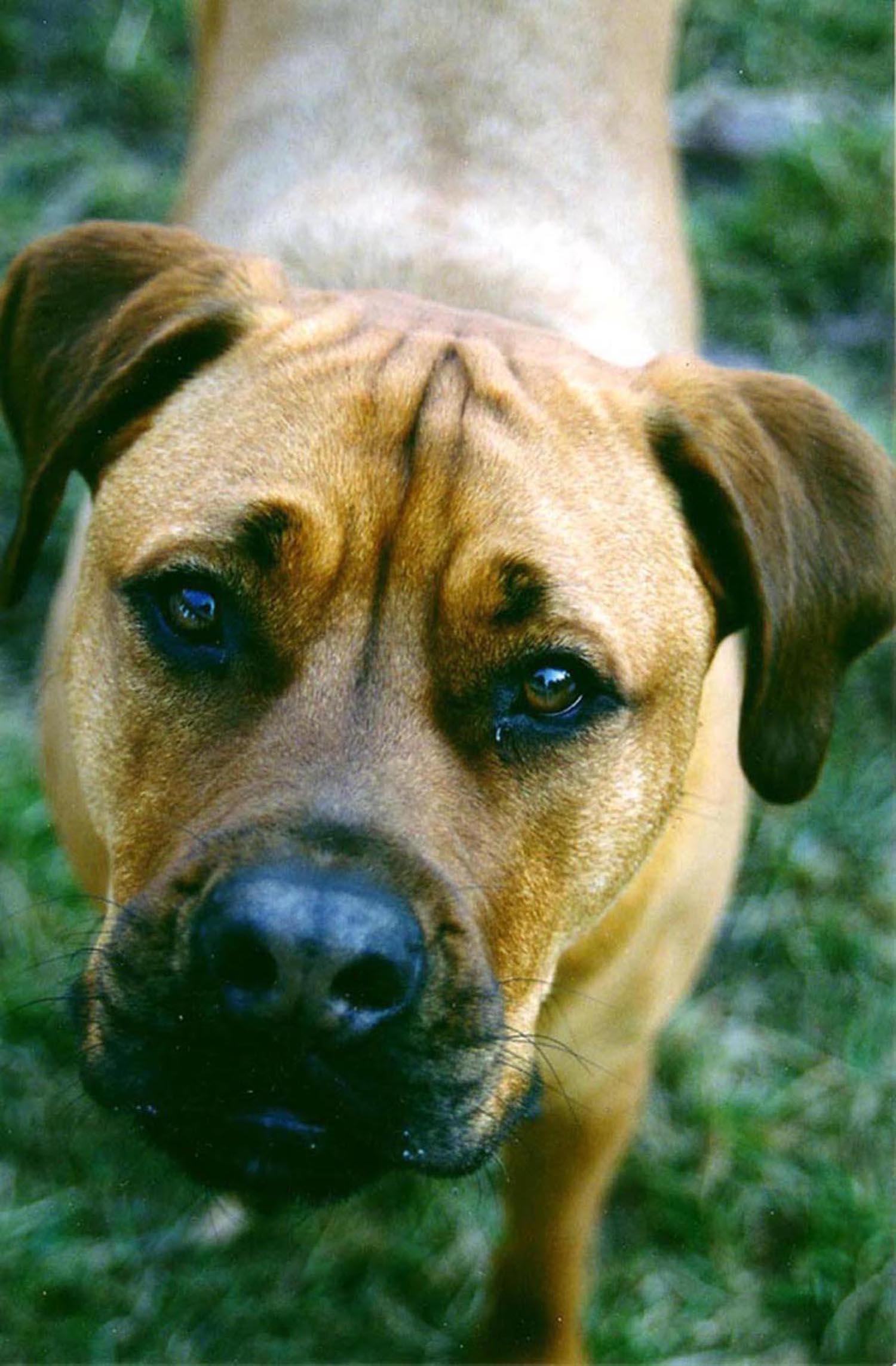 Photography by bbfarmer for DesignCrowd (Community Contests) | Design #8939992