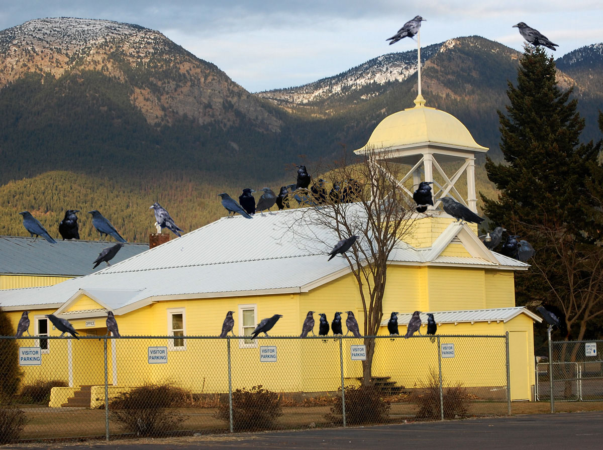 Photoshop Design by littleblob for DesignCrowd (Community Contests) | Design #8939576