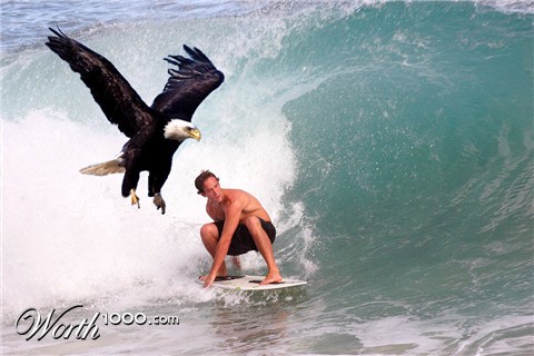 Photoshop Design by eaglesfan1821