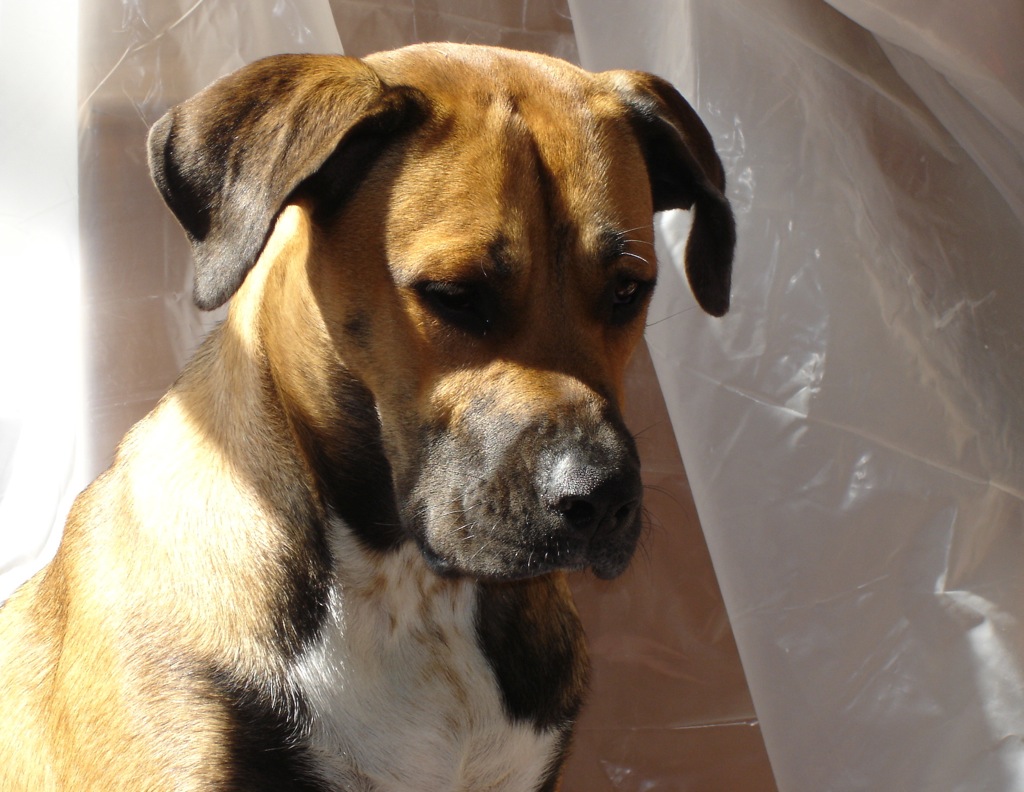 Photography by chronus24 for DesignCrowd (Community Contests) | Design #8940009