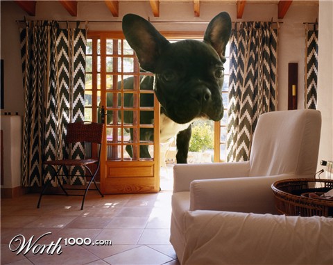 Photoshop Design by Paul Hanson