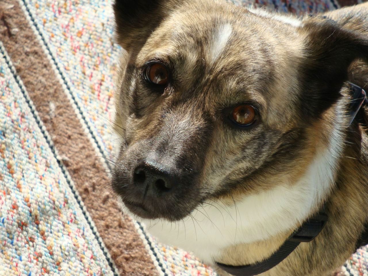 Photographie par whitewhale pour DesignCrowd (Community Contests) | Design #8940006