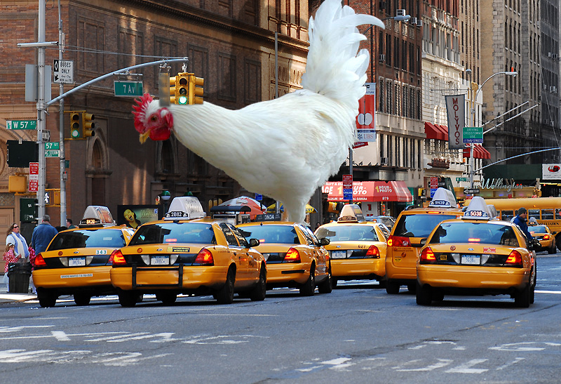 Design Photoshop par kleinschwendi pour DesignCrowd (Community Contests) | Design #8938277