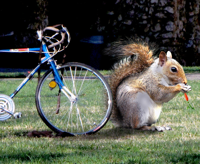 Photoshop Design by brdispatch05 for DesignCrowd (Community Contests) | Design #8938245