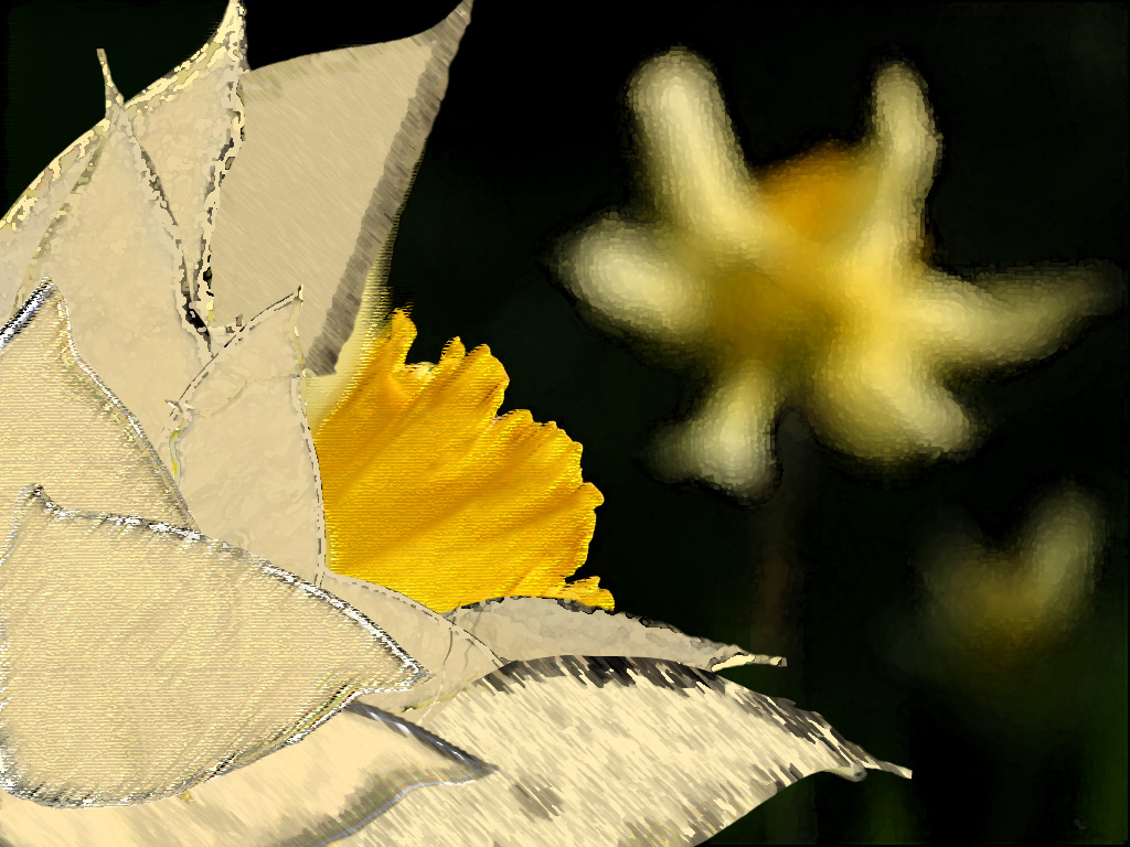 Photoshop Design by SnapClick for DesignCrowd (Community Contests) | Design #8939591