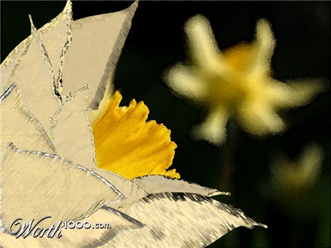 Photoshop Design by SnapClick