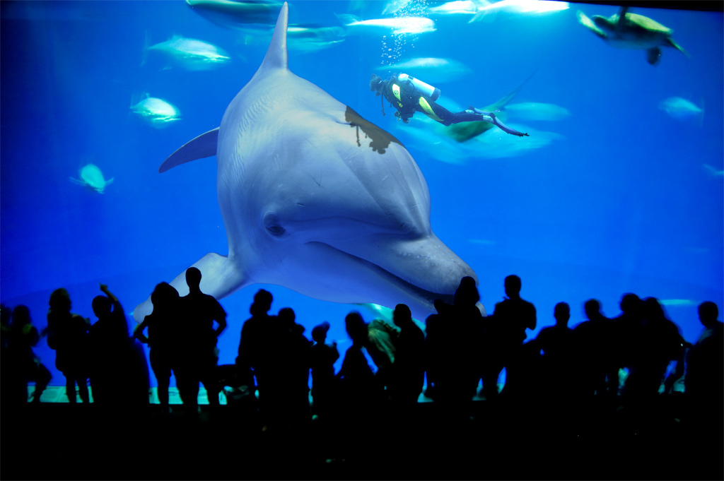 Photoshop Design by ahjam81 for DesignCrowd (Community Contests) | Design #8938280