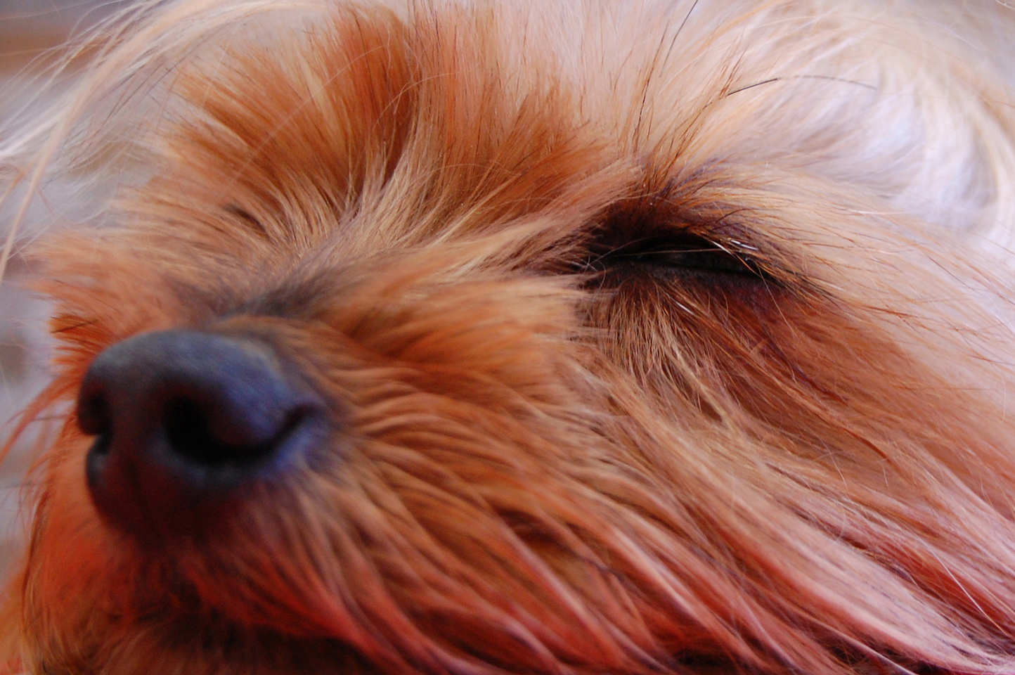 Photography by Artifakts for DesignCrowd (Community Contests) | Design #8940011