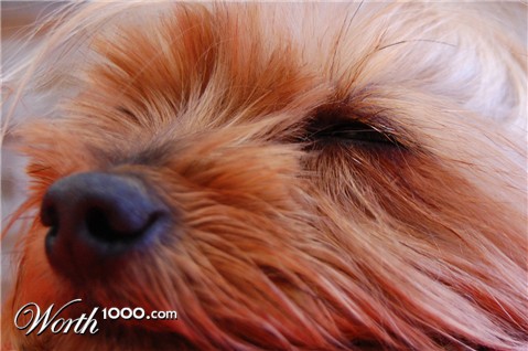 Photography by Artifakts