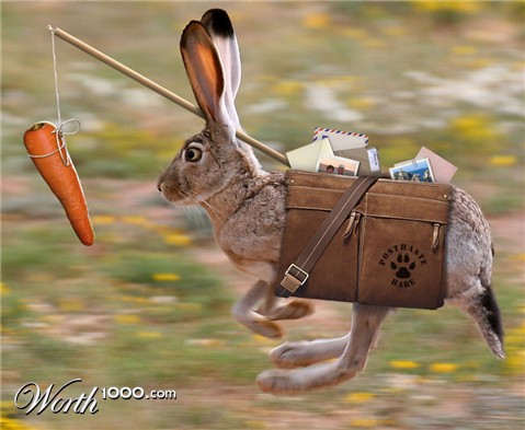 Photoshop Design by Lunacy Interactive
