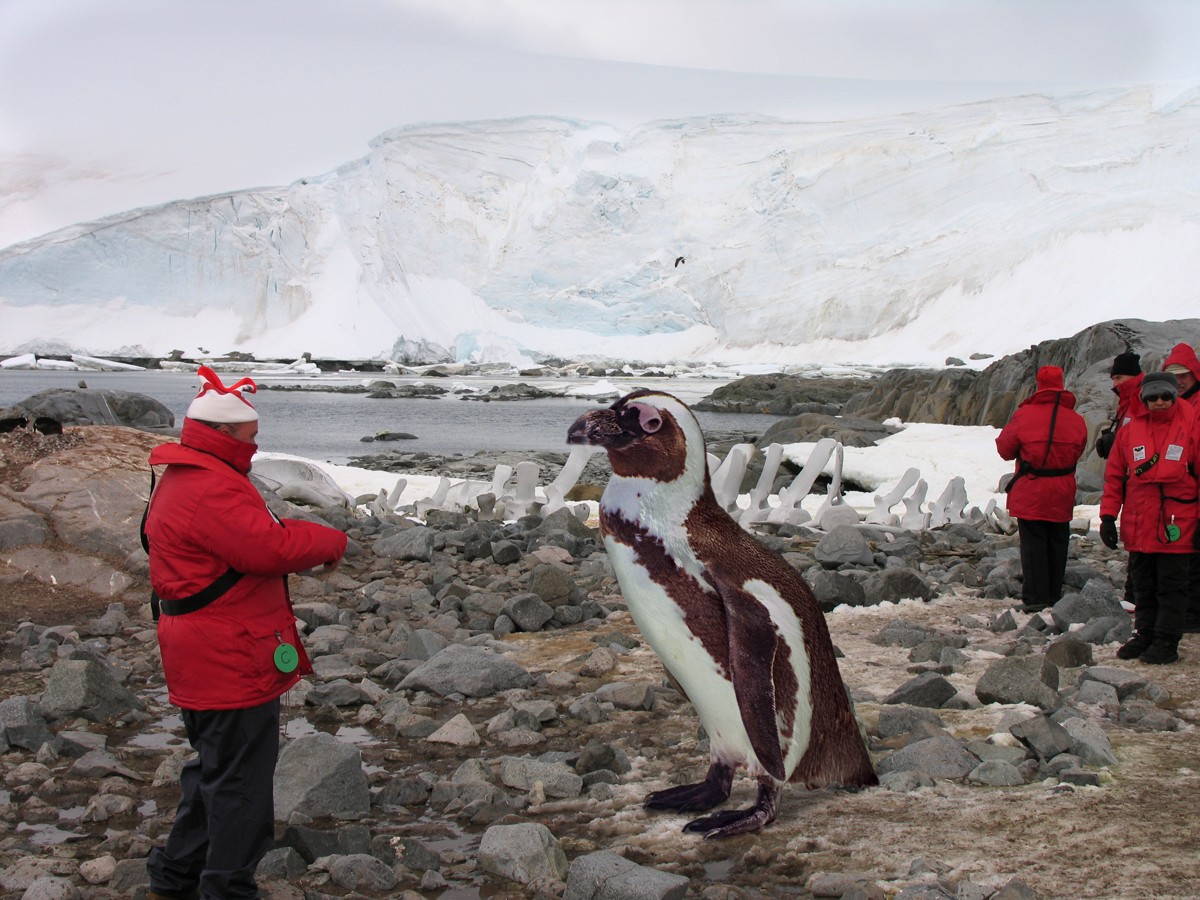 Photoshop Design by Belgabor for DesignCrowd (Community Contests) | Design #8938263