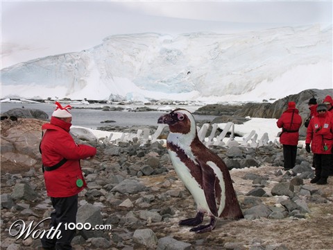 Photoshop Design by Belgabor