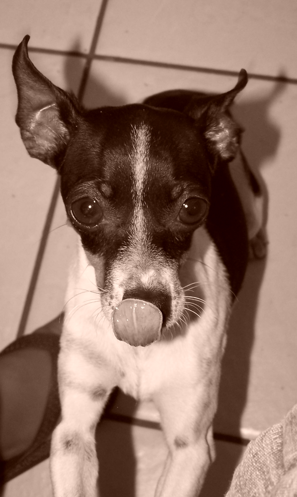 Photography by crispf for DesignCrowd (Community Contests) | Design #8940033