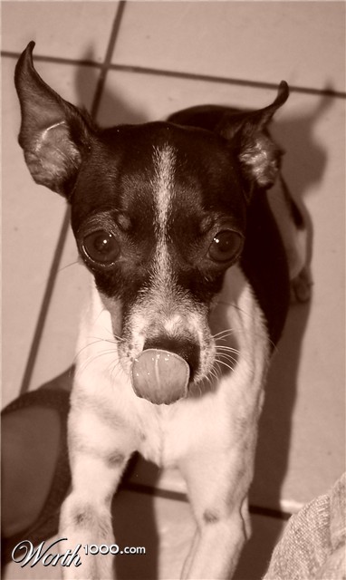 Photography by crispf