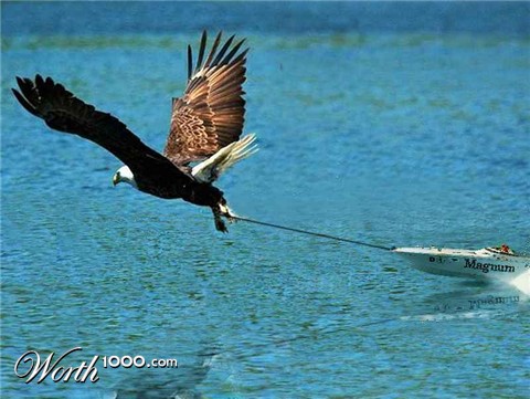 Photoshop Design by graxxxz