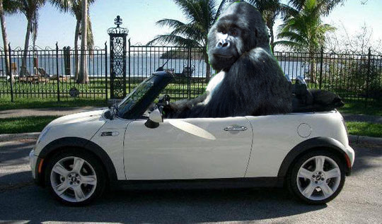 Photoshop Design by Takes2Hands2 for DesignCrowd (Community Contests) | Design #8938269