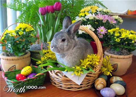 Photography by annaalicja